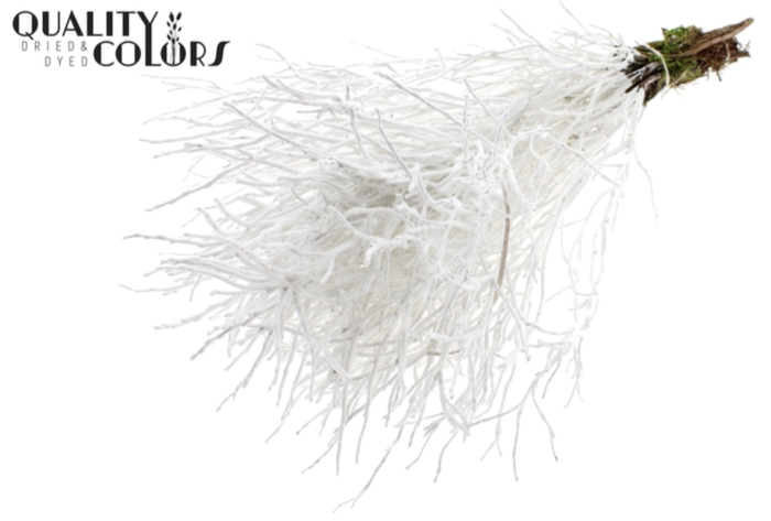 <h4>HEIDELBEER WIT FLOCK</h4>