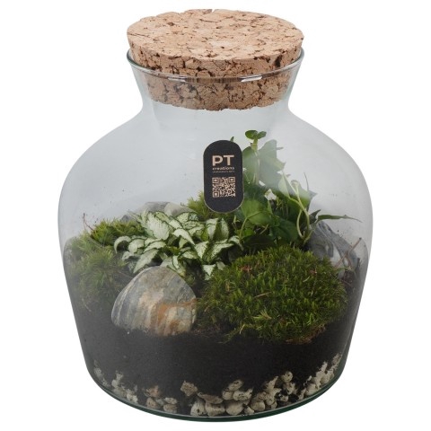 <h4>Opm Pt PTTER8106  Terrarium Glas</h4>