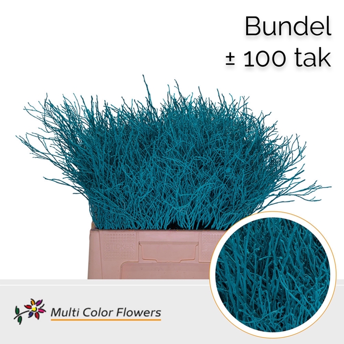 <h4>Heidelbeer (Bundel) Turquoise</h4>