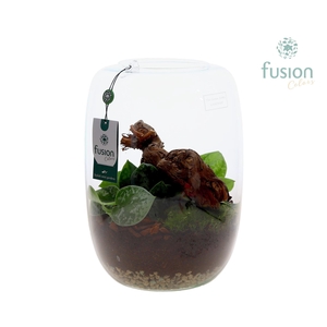 Green Bottle Isabella XLarge met Scindapsus