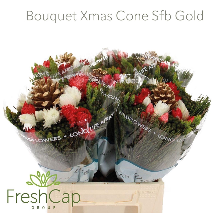 <h4>Bouquet Xmas Cone Sfb Gold</h4>