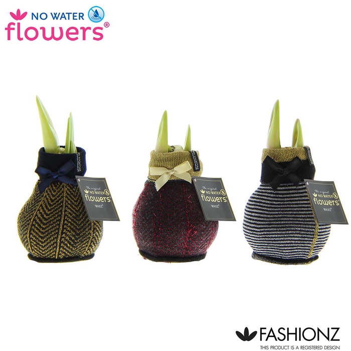 <h4>No Water Flowers® Fashionz Elegant</h4>