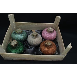 Amaryllis Bol Gliiter Xxxl