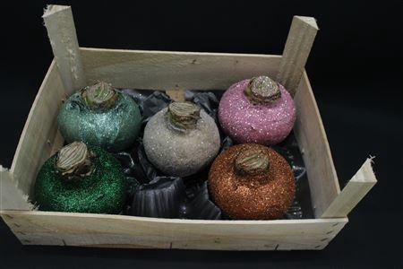 <h4>Amaryllis Bol Gliiter Xxxl</h4>