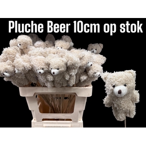 HUIS EN TUINDECO H%