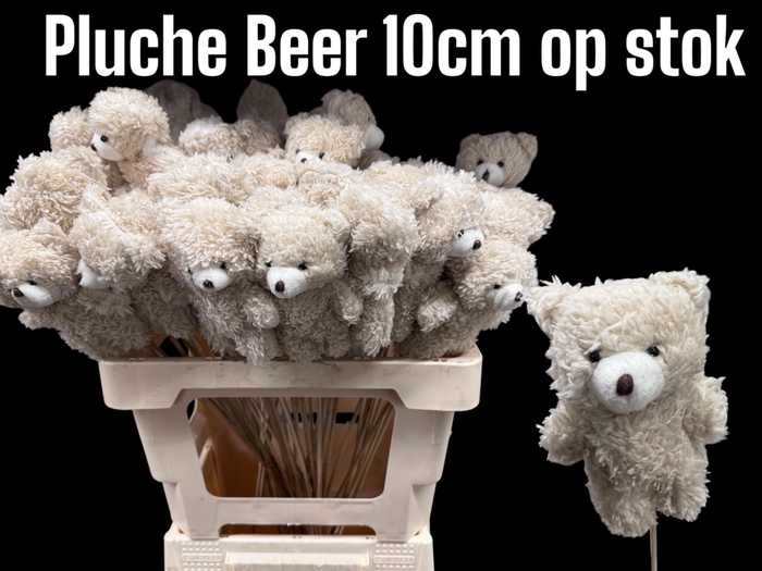 <h4>HUIS EN TUINDECO H%</h4>