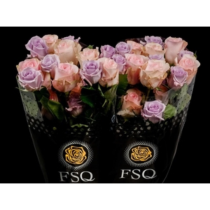 R GR Seasons Lavander Mix