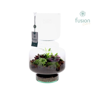 Green Bottle Lotte Large met arrangement