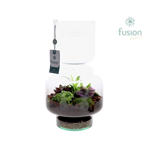 Green Bottle Lotte Large met arrangement