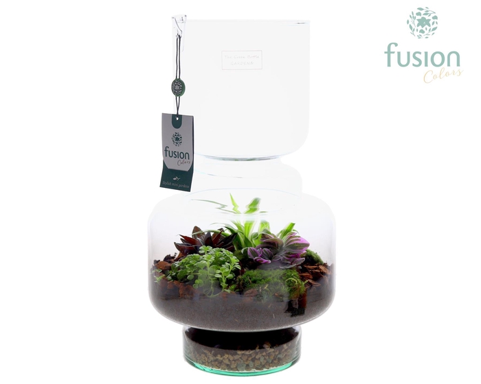 <h4>Green Bottle Lotte Large met arrangement</h4>