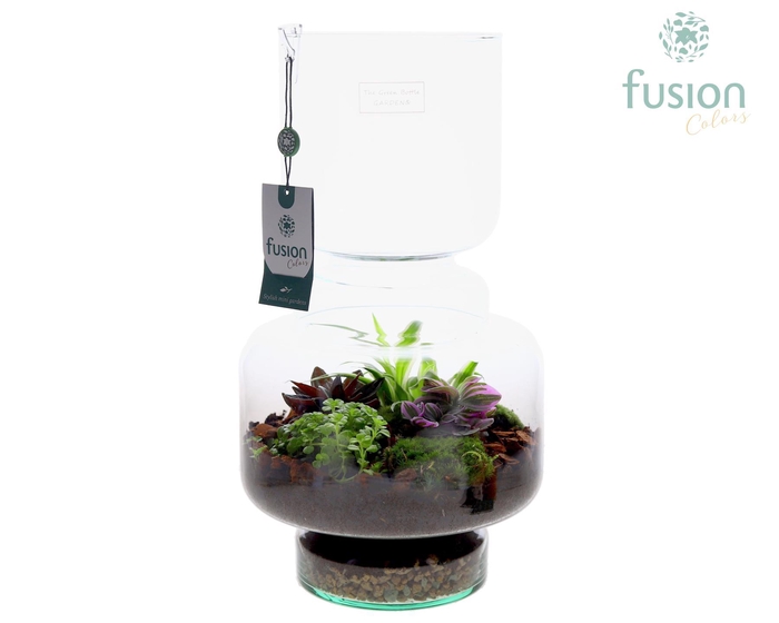 <h4>Green Bottle Lotte Large met arrangement</h4>