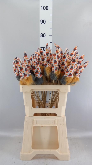 <h4>Decoratieve materialen   ...H%</h4>