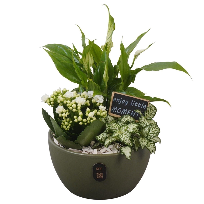 <h4>Arr.    Planten  L%</h4>