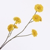 Zinnia Spray Yellow FL440346YEL