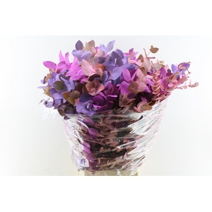 Euca Cinerea Purple Mix 300 Gram