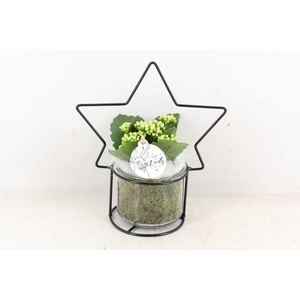 arr2 PL - Glas pot met ster - wit