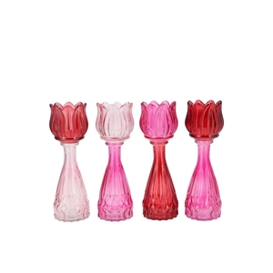 Bicolore Dutch Pink Mix Tulip Vase Ass 7x18cm Nm