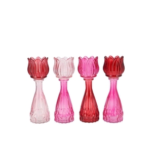 Bicolore Dutch Pink Mix Tulip Vase Ass 7x18cm