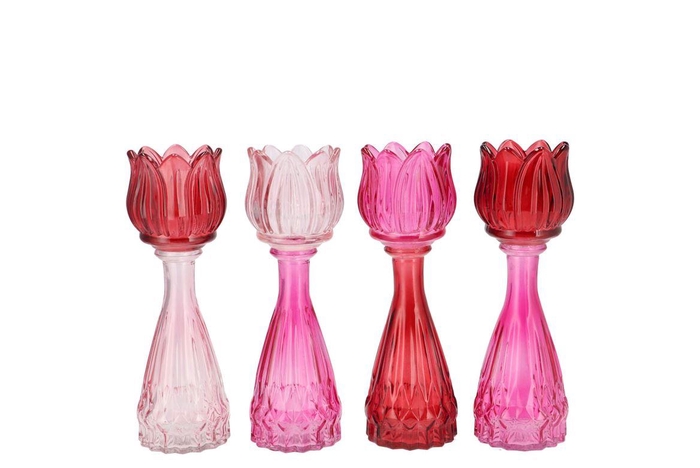 <h4>Bicolore Dutch Pink Mix Tulip Vase Ass 7x18cm</h4>