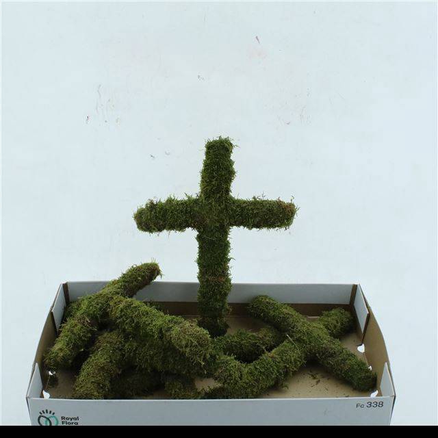 <h4>MOSSEN OV H%</h4>