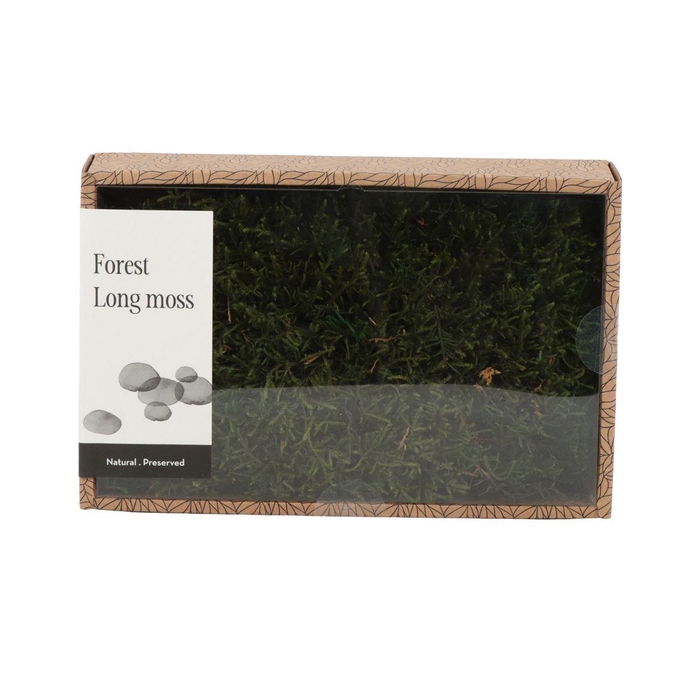 <h4>Long Moss Gepreserveerd - Box M</h4>