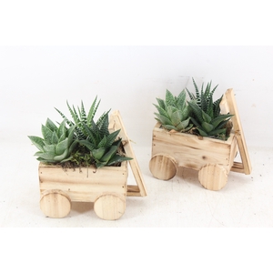 arr3 SN - Houten bolderkar