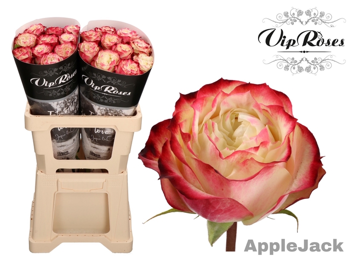 R GR APPLE JACK COLD