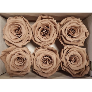 Ro Pres Classic Latte