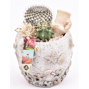 Cement pot schelpendecor 12cm