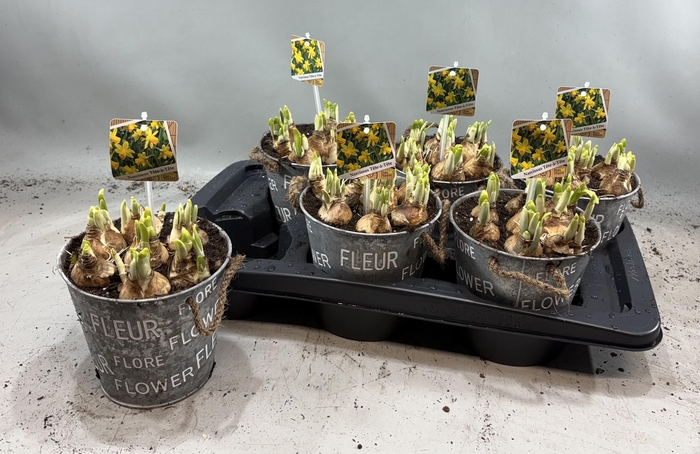 <h4>ARR N TETE A TETE</h4>