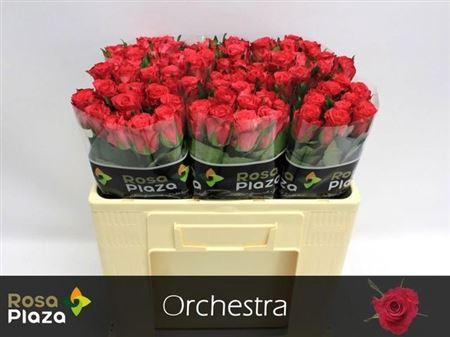 R Gr Gemengd In Fust