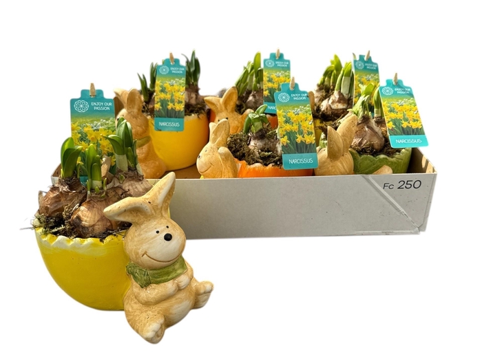 <h4>ARR N TETE A TETE</h4>