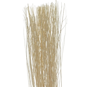 Droogdeco Yanagi branch 250g 85cm