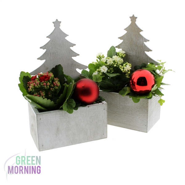 <h4>Arrangement 2 planten in rechthoek bak kerstboom + kerstbal</h4>