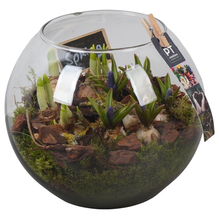 <h4>Arr. Tuinplanten L%</h4>