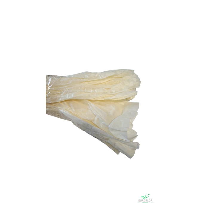 <h4>NON WOVEN SHEETS 50CMX1,5M LIGHT CREAM 5PCS</h4>