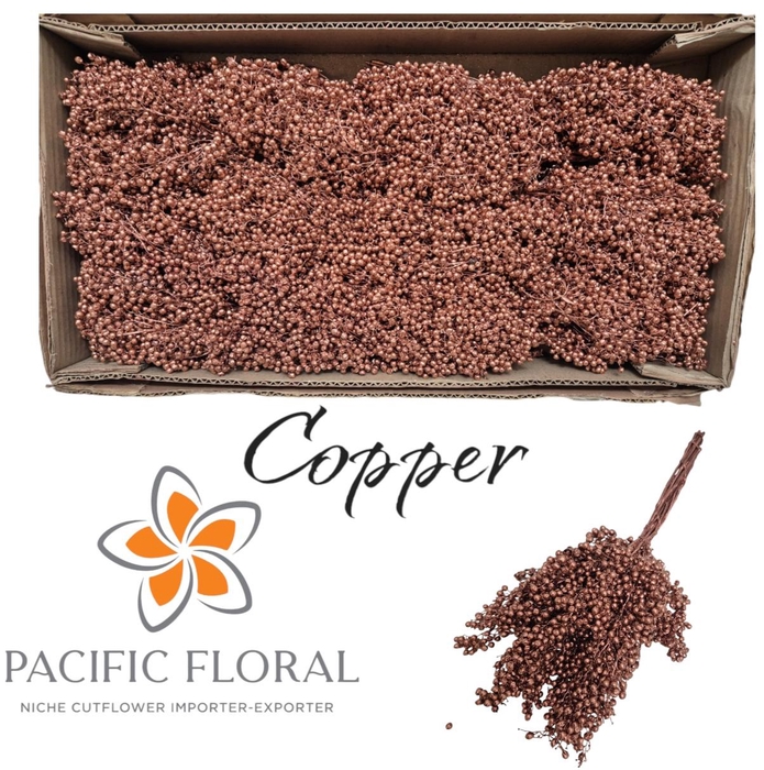 <h4>SCHINUS M DEC BES BS</h4>