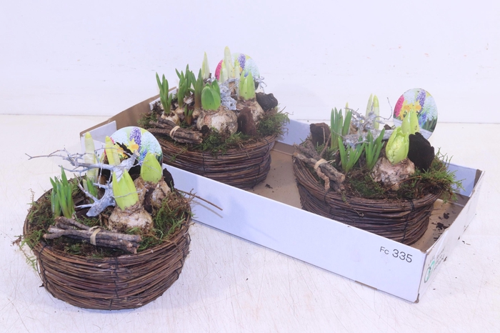 <h4>ARR BOL KNOLGEWAS</h4>