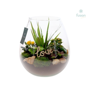 Green Bottle Abby XLarge Love met arrangement