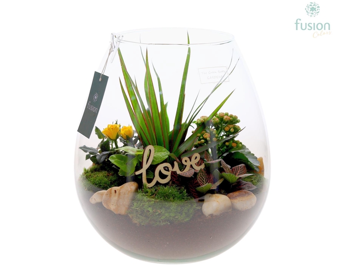<h4>Green Bottle Abby XLarge Love met arrangement</h4>