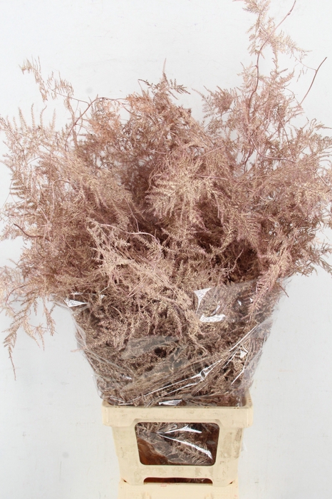 <h4>ASP OV KLB H%</h4>