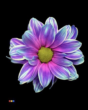 Chr T Kennedy Slush Puppy