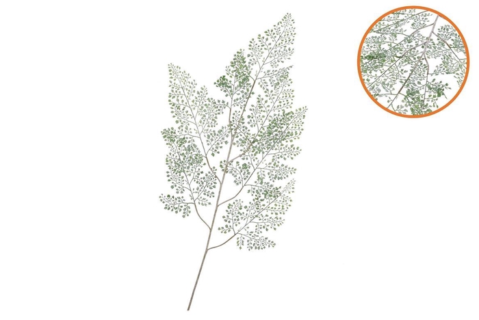 <h4>Silk Fern Maiden Hair Green Snowy 137cm</h4>