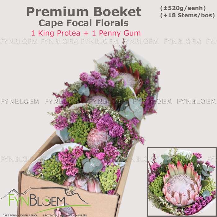 <h4>PROTEA PER BOS</h4>