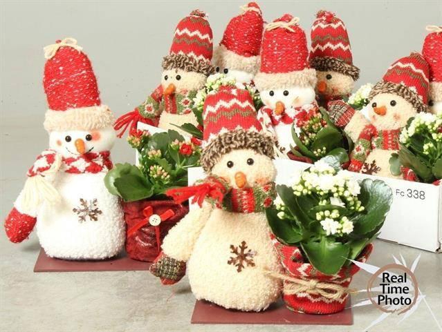 <h4>ARR KAMERPLANTEN H%</h4>