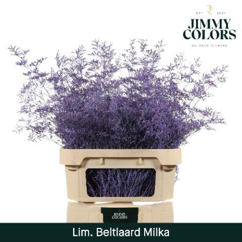<h4>Lim Bel L90 Milka</h4>