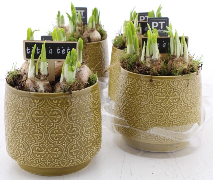 <h4>ARR N TETE A TETE</h4>