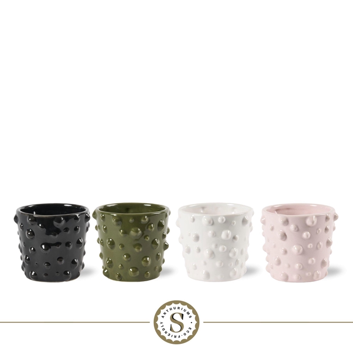 <h4>Creations) Puglia Keramiek</h4>