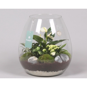 Green Bottle Abby XLarge met Groen Planten Arrrangement