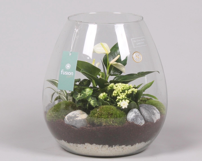 <h4>Green Bottle Abby XLarge met Groen Planten Arrrangement</h4>